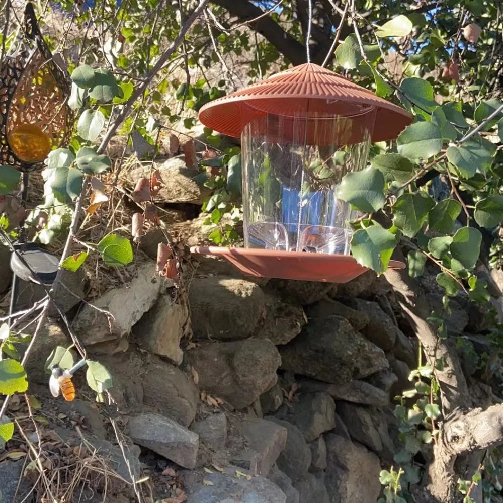 Wild Bird Feeder Hanging for Garden Yard Outside Decoration